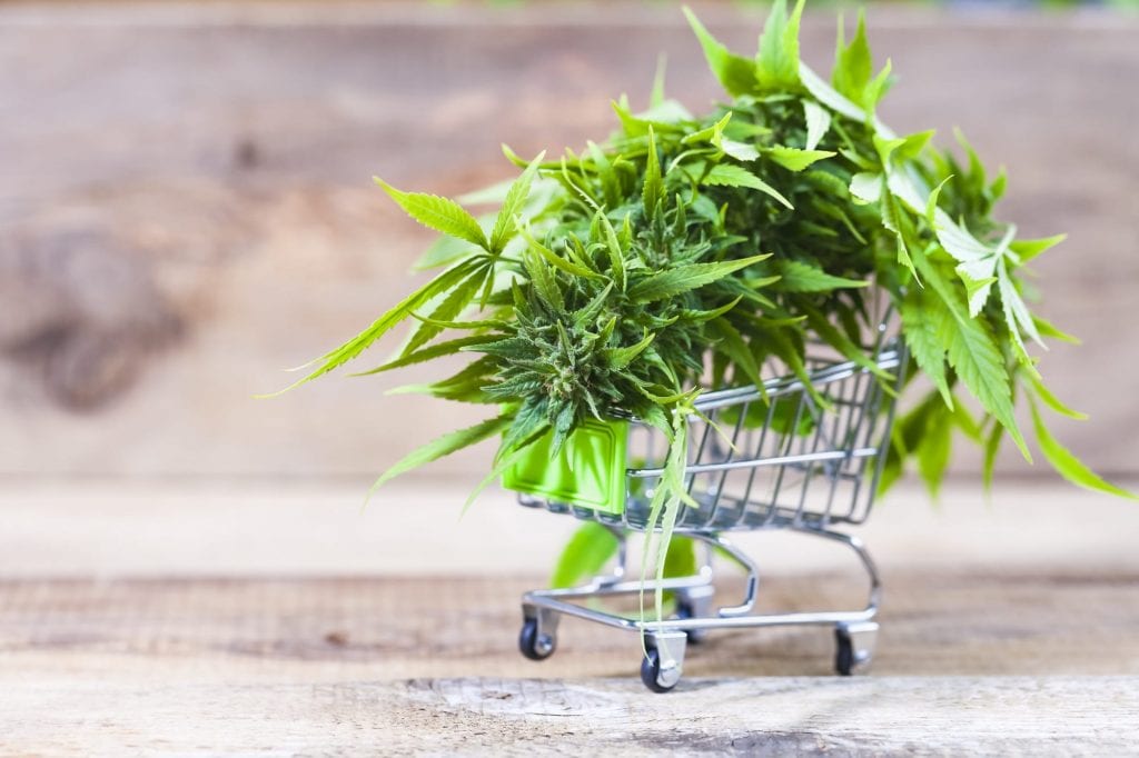 cannabis-marketing-blog