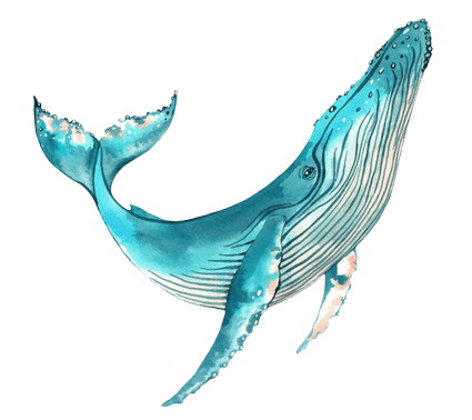 blue-whale