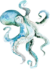 octopus