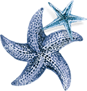 star-abt