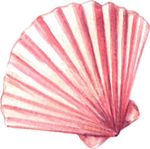shell