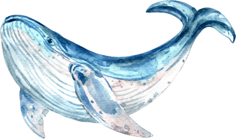 whale