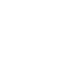 white bullet