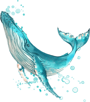 whale